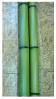 photo:Bambu